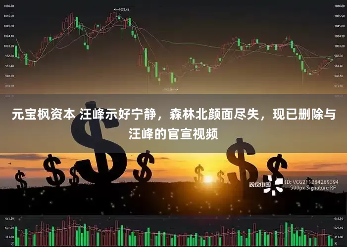 元宝枫资本 汪峰示好宁静，森林北颜面尽失，现已删除与汪峰的官宣视频