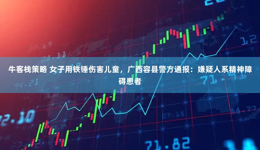 牛客栈策略 女子用铁锤伤害儿童，广西容县警方通报：嫌疑人系精神障碍患者