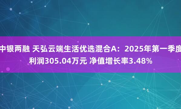 中银两融 天弘云端生活优选混合A：2025年第一季度利润305.04万元 净值增长率3.48%