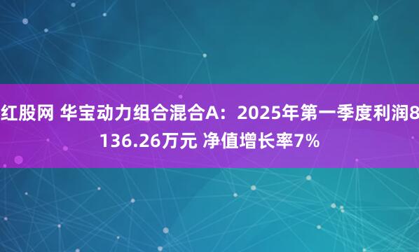 红股网 华宝动力组合混合A：2025年第一季度利润8136.26万元 净值增长率7%
