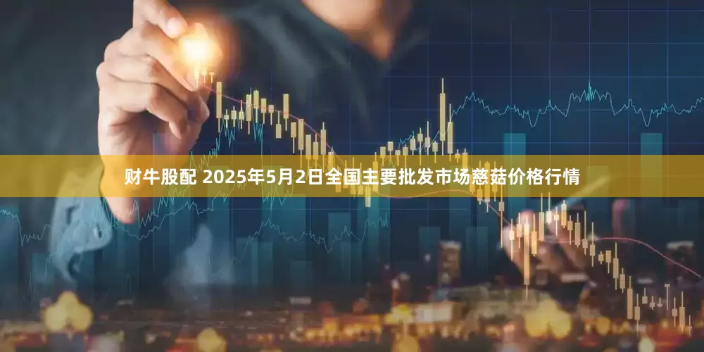 财牛股配 2025年5月2日全国主要批发市场慈菇价格行情